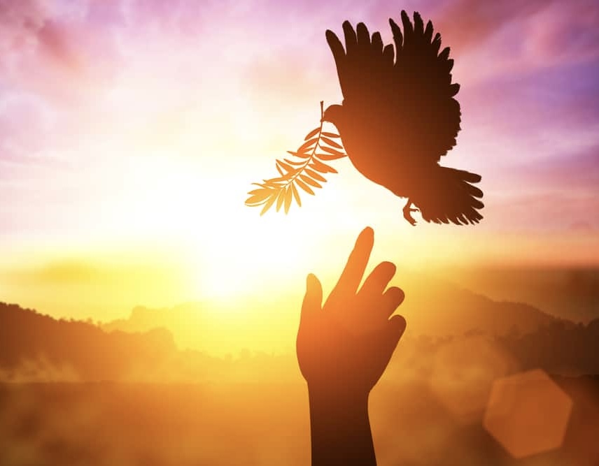 Hidup dari Atas img 0105